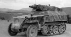  Sd Kfz 250/8 (neu)