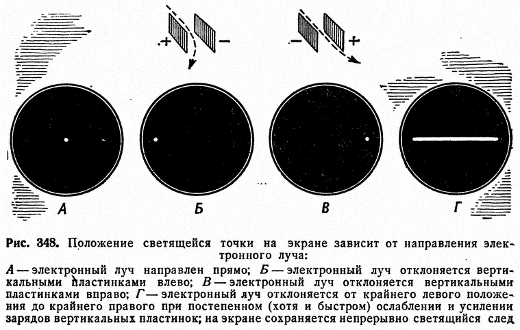 . 348.          : <i></i>     ; <i></i>       ; <i></i>       ; <i></i>              (  )      ;      